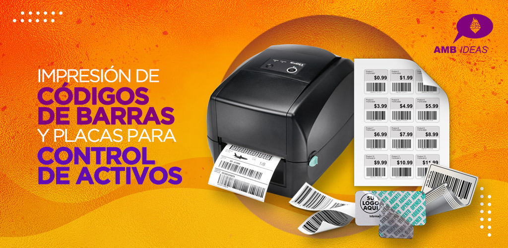Control de Activos